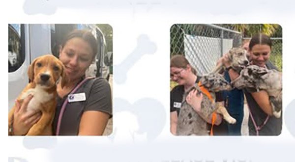 Make a Difference in the Lives of Animals, Start Your Career at Brevard Humane Society