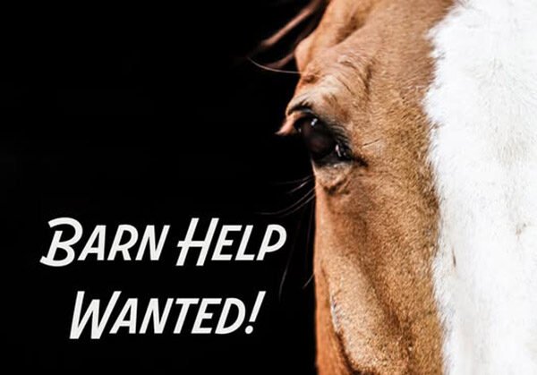 Hidden Acres Rescue for Thoroughbreds Equestrian Facility in Cocoa Seeking Barn Manager