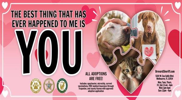FREE PET ADOPTIONS: Brevard County Animal Services Offering Free Adoptions For the Month of February