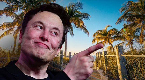 DOGE UPDATE: Musk Reports Treasury Officers Knowingly Approved Fraudulent Payments, Including to Terrorist Groups