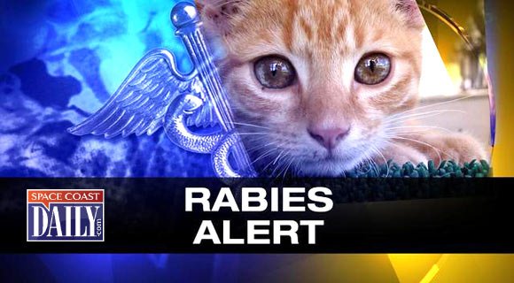 Florida Department of Health Issues Rabies Advisory After Infected Bat Captured in Rockledge