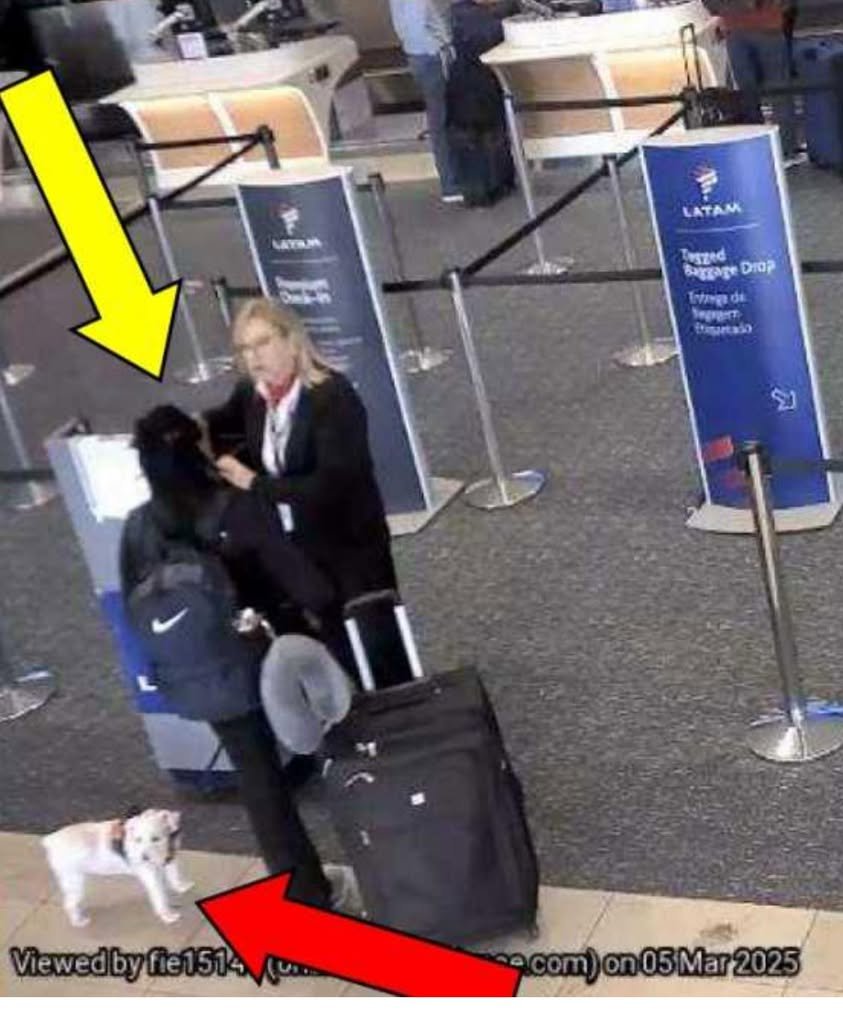 🚨 HEARTBREAKING DETAILS RELEASED: Woman Drowns Dog at Orlando Airport 🚨 Alison Lawrence, a Central Florida woman, has...