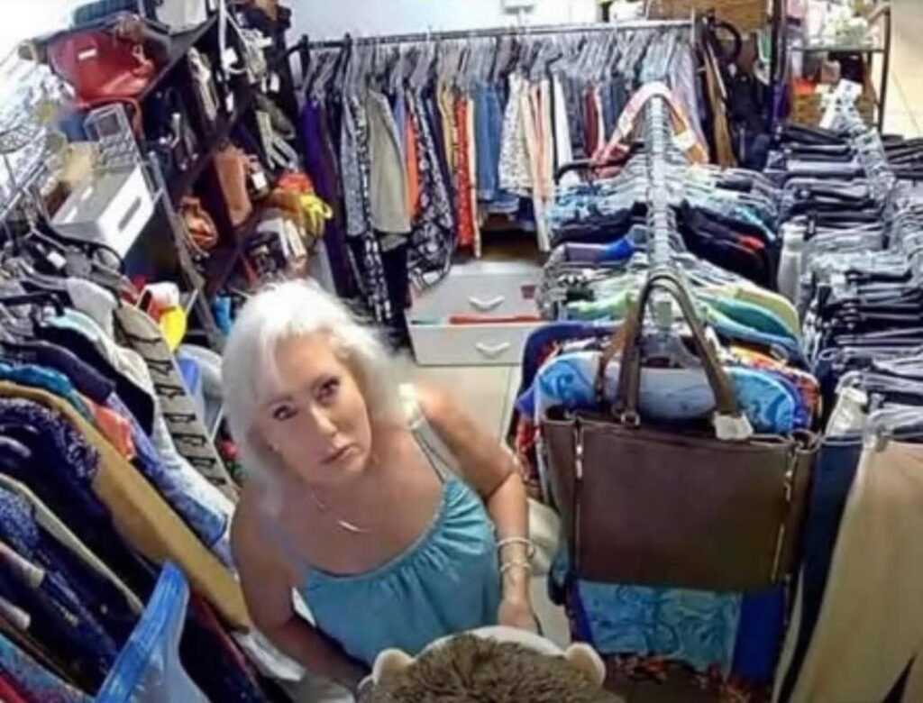 The HALO Animal Rescue thrift store is asking for help identifying this woman who allegedly stole items from their store...