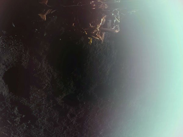 WATCH: Firefly Aerospace’s Blue Ghost Mission 1 Successfully Lands on the Moon Carrying NASA Science