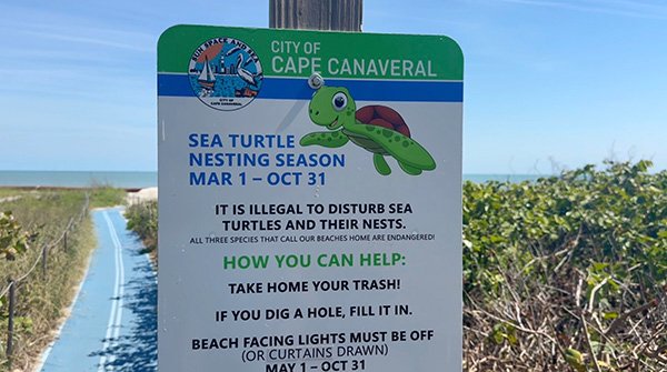 WATCH: Protecting Florida’s Ocean Guardians: How to Help During Sea Turtle Nesting Season on the Space Coast