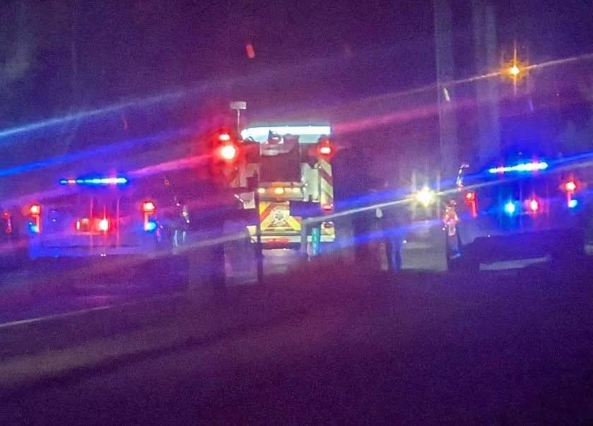 MVC of a vehicle and horse on a Aurantia Road. Horse reportedly has injuries. There was no rider.  BCSO, BCFR, Animal Se...