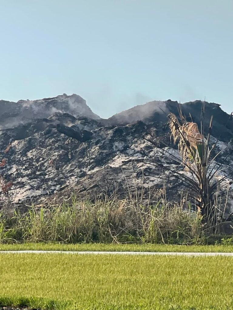 Weeks later and the Davis fire is still burning in Palm Bay.