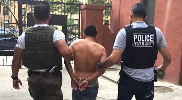 Largest Joint Immigration Operation in Florida History Leads to 1,120 Criminal Alien Arrests After Weeklong Operation