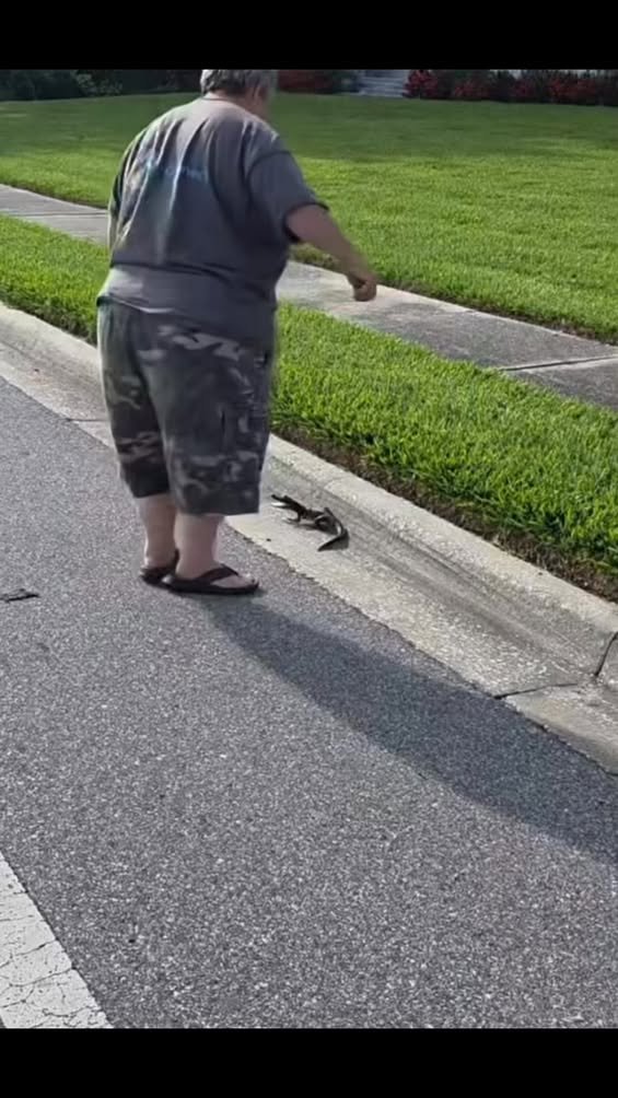 How nit to handle a gator or a camera.
