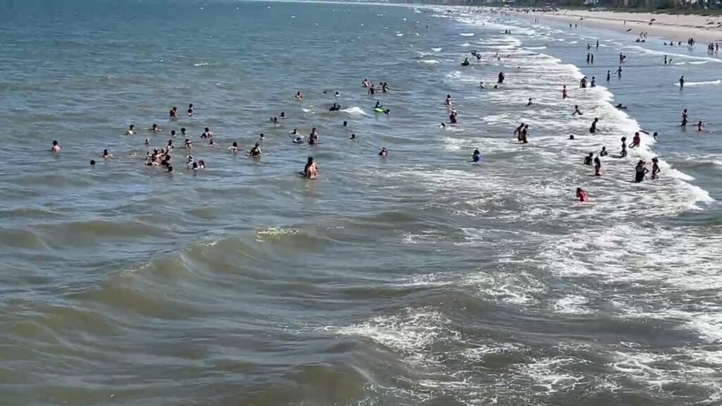 Perfect Beach Day