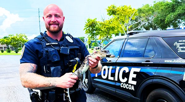 Cocoa Police Calls in Florida Fish and Wildlife After Scaly Squatter Found Lounging on Front Porch of University Lane Home