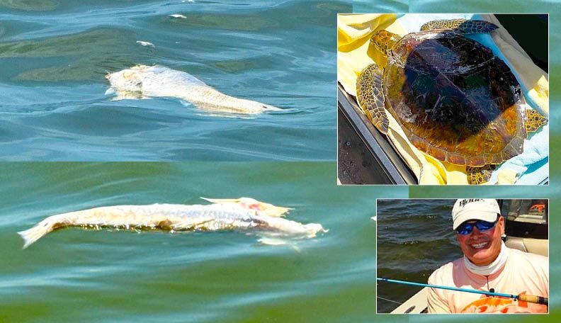 Captain Eric Ciocher: Space Coast Lagoons in Peril as Rising Water Temperatures Trigger Fish Kill