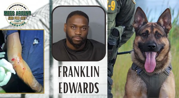 MESS AROUND AND FIND OUT! Brevard County Sheriff’s Office K9 Colt Helps Take Down Suspect After Fleeing Deputies