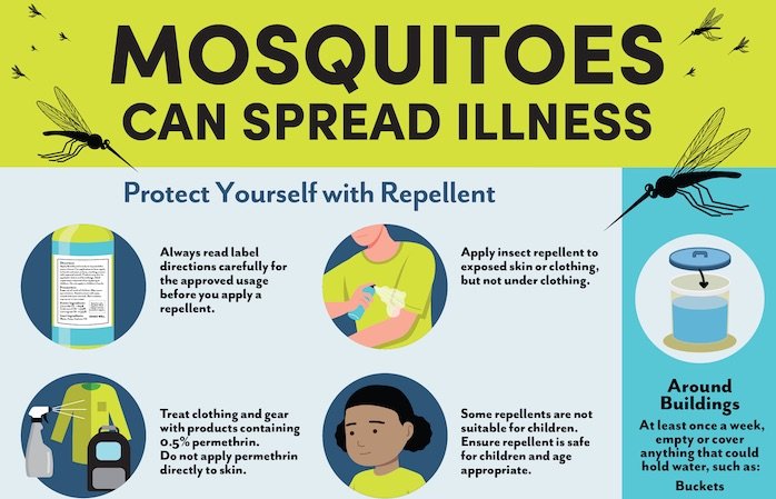 Brevard Health Department Issues Mosquito-Borne Illness Alert After Reporting Four Cases of Dengue
