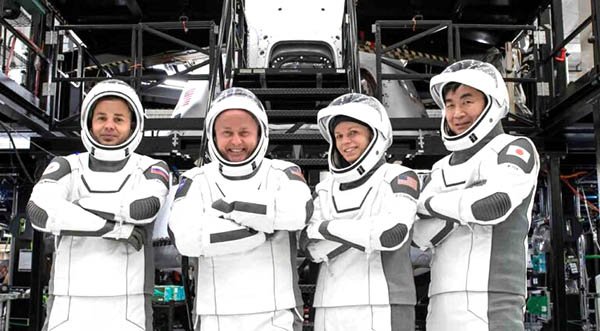 NASA's SpaceX Astronaut Crew-11 Mission to Launch July 31 from KSC, Will Study Stem Cell Processing