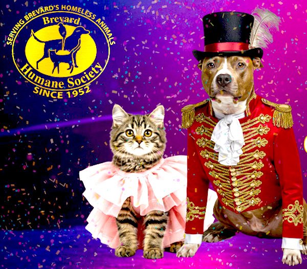 Brevard Humane Society to Host Annual Tuxes & Tails Gala Aug. 23 at Port Canaveral Radisson Resort