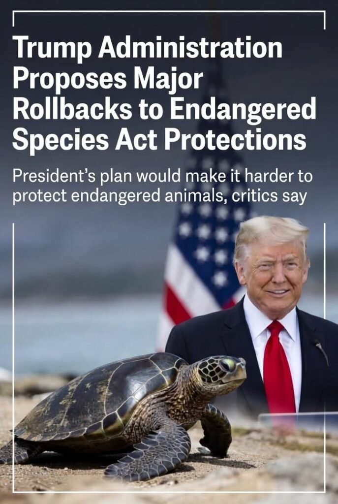 BREAKING: The Trump Administration is moving to roll back key protections in the Endangered Species Act, and conservatio...