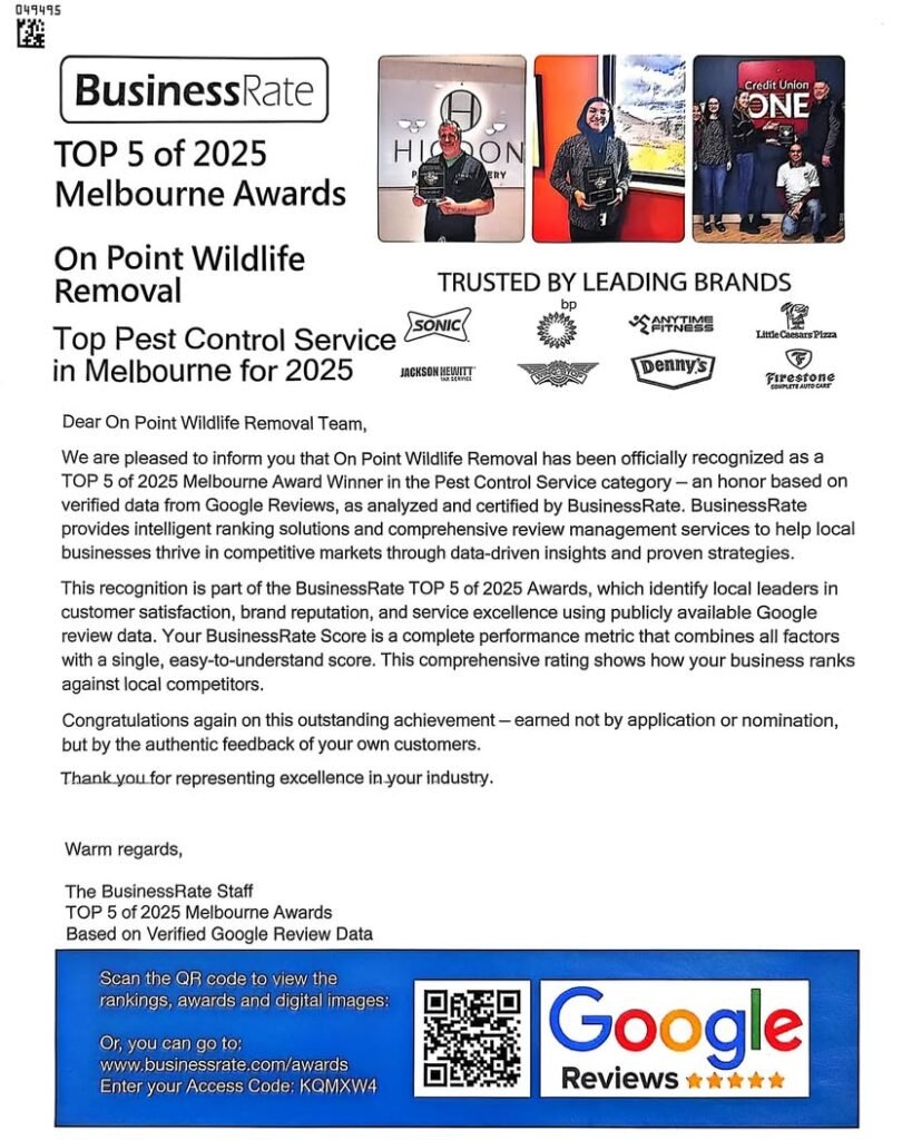 Congratulations to one of our community partners On Point Wildlife Removal!Hard work and taking the best care of our cus...