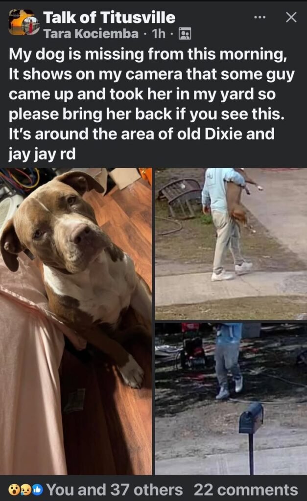 Looking to identify man seen here taking someone’s dog.