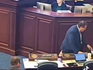 Randy Fine so kindly casting votes that aren't his. Unclear if the FBI or Tulsi Gabbard will be storming the Florida Hou...