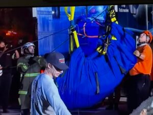 RESCUED! The manatee that was trapped in the storm drain in Melbourne Beach has finally been rescued!