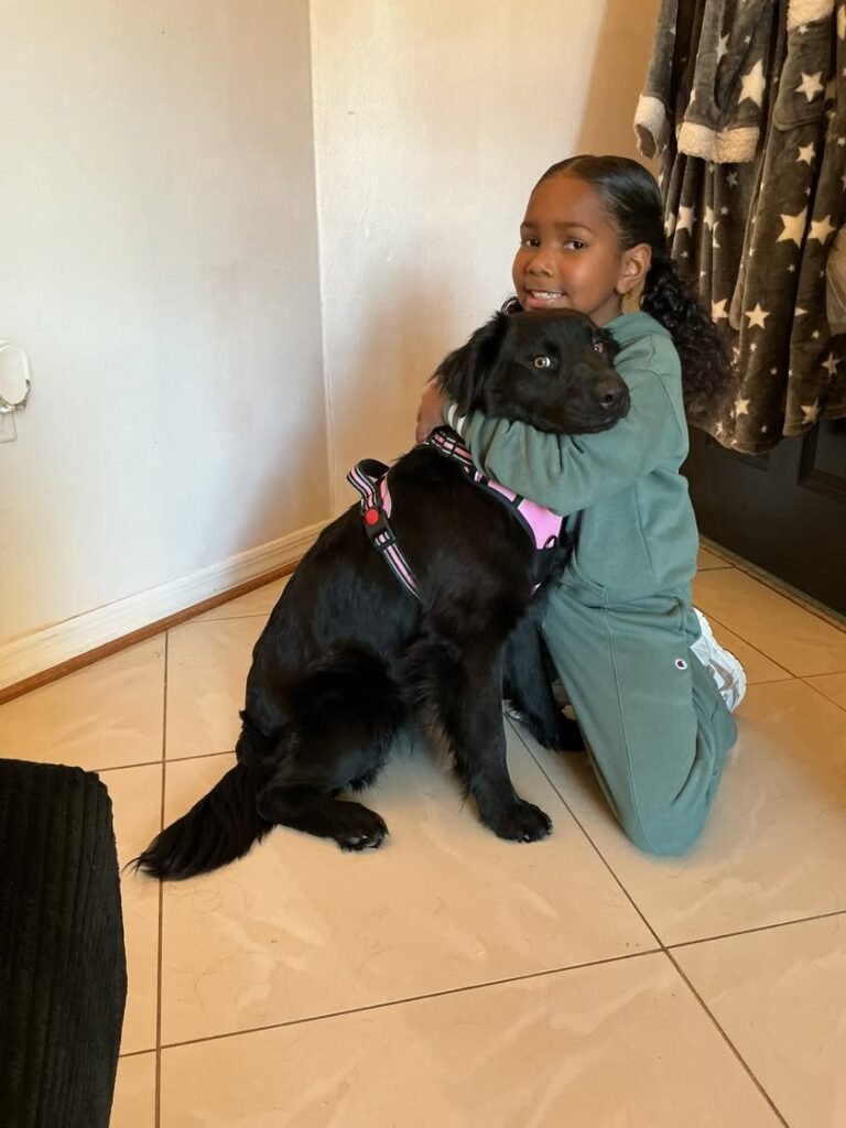 Please help find this missing puppy for this family.Please help me find her. This is Luna my baby girl Ella'rose best fr...