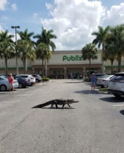 Be sure to return your carts.