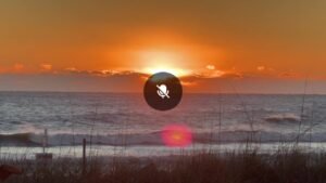 Catch the cold sunrise this morning