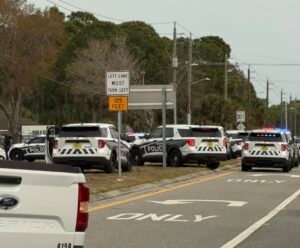 Stolen vehicle pursuit ended in a crash in Palm Bay at Babcock and Malabar. Female suspect