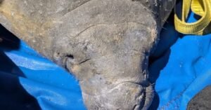 Sorry, something went wrong.