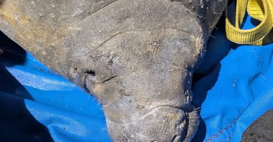 Sorry, something went wrong.