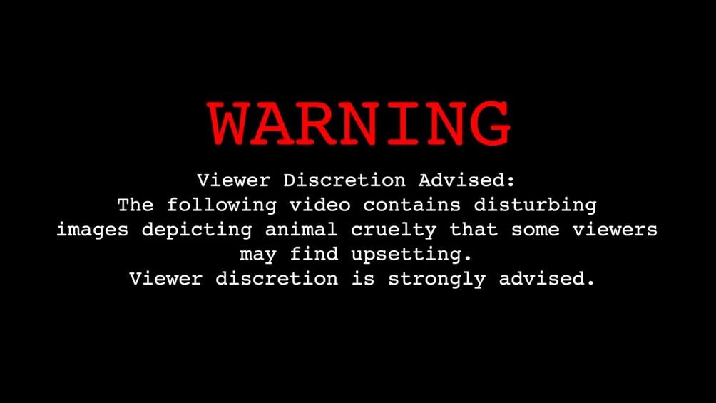 On March 7, 2026, Osceola County Deputies responded to reports of a dog in distress thrown into a dumpster behind the bu...