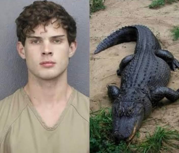 FLORIDA MAN UPDATE: A... - The Space Coast Rocket