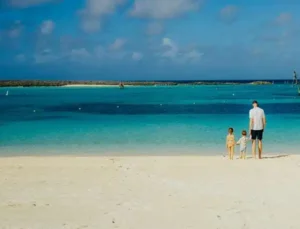Discover the 12 Best Beaches in Florida for Families