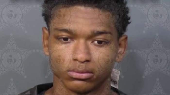 Naked Florida man accused of grabbing DoorDash driver, police say