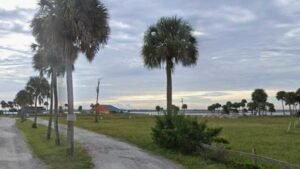 Man dies after vessel overturns in Brevard County lake, FWC says