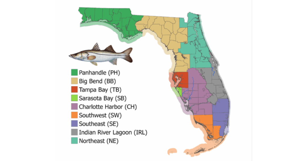 Melbourne Area Included in June 1 Snook Harvest Closure - TAPinto
