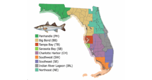 Melbourne Area Included in June 1 Snook Harvest Closure - TAPinto