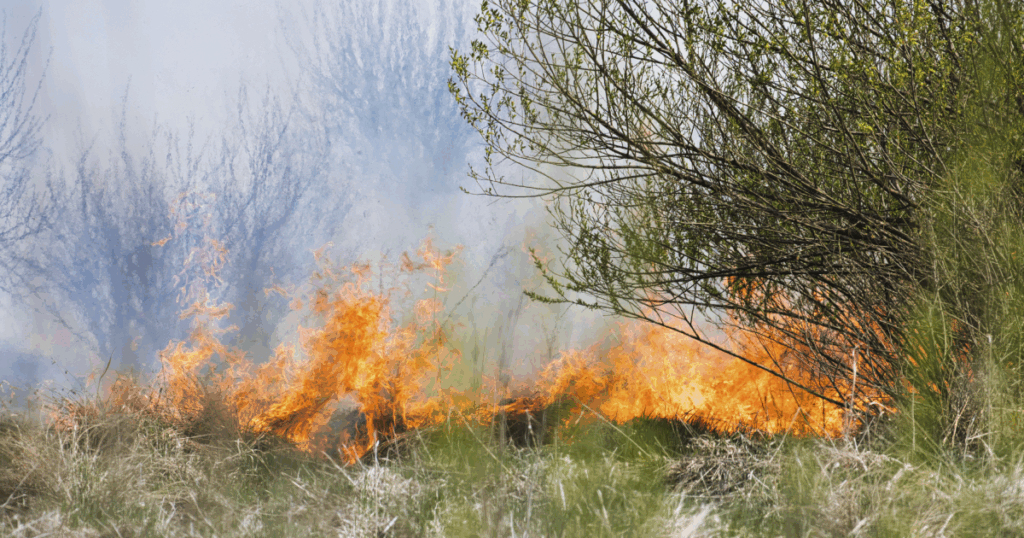Burn bans lifted for Brevard and Seminole counties